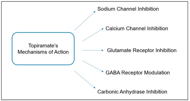product-1-1 product-1-1