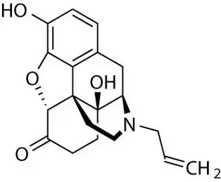 Application of Naloxone Powder