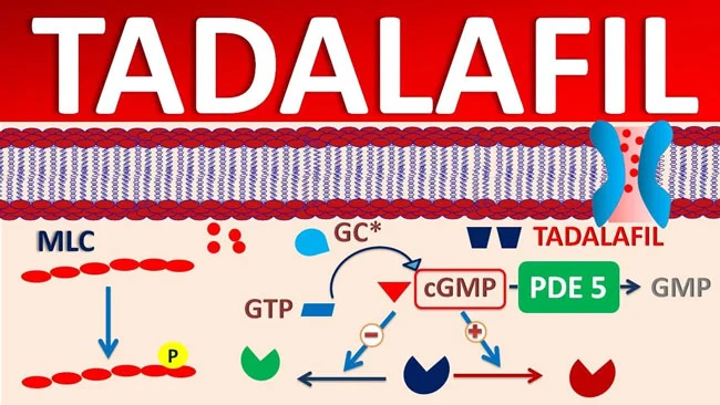 Tadalafil