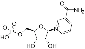 product-294-171 product-294-171
