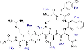 Vasopressin MF