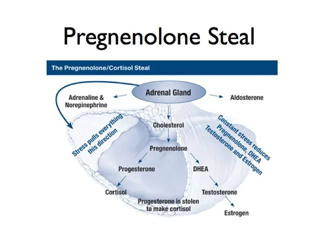 Pregnenolone Powder