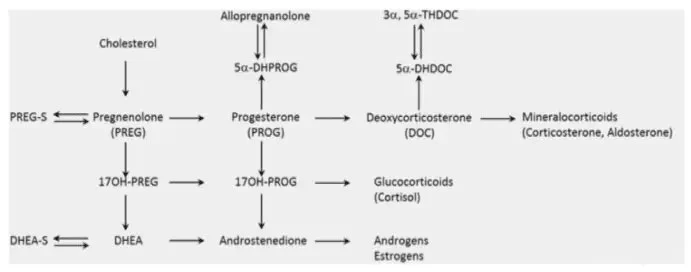 Pregnenolone