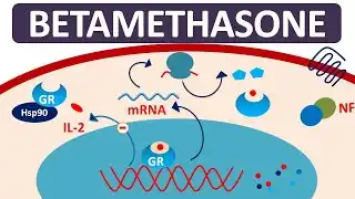 betamethasone