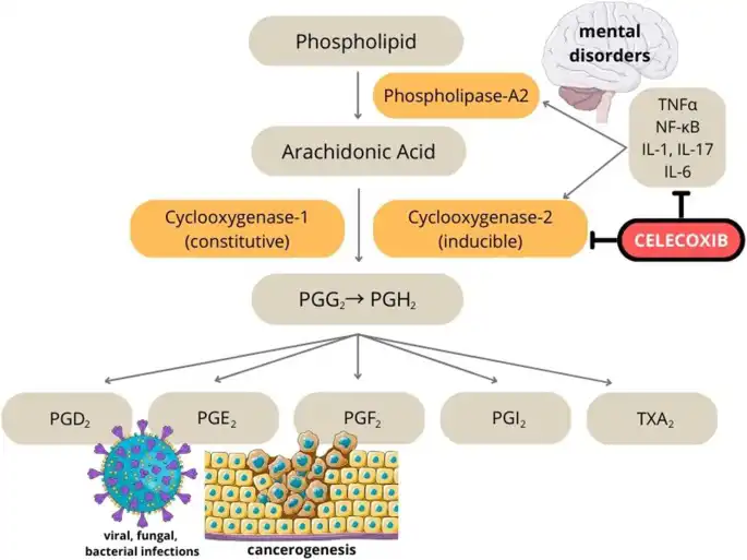 What diseases can celecoxib Powder be used