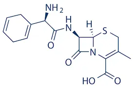 Cefradine MF