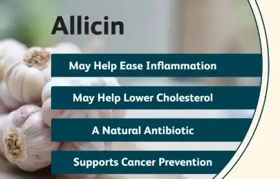 Benefits of Allicin Powder