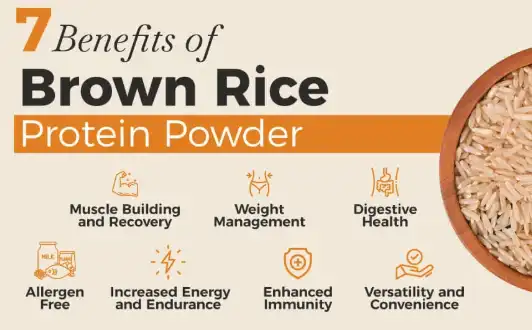Brown Rice Protein  Brown Rice Protein