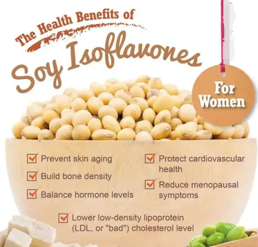 Soy Isoflavones Powder  Soy Isoflavones Powder