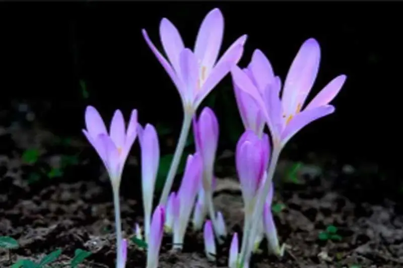 product-1-1 product-1-1