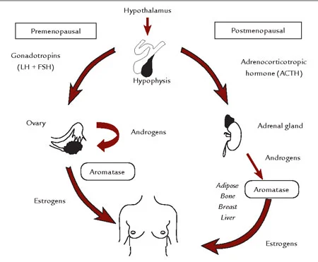 product-1-1 product-1-1