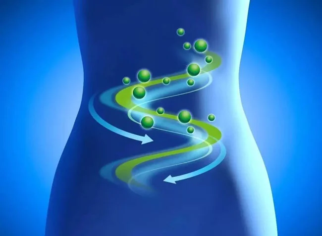 Montmorillonite Powder Montmorillonite Powder