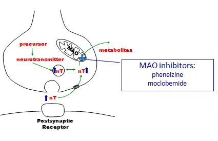 phenelzine Powder phenelzine Powder