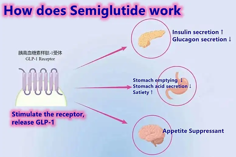 Semeglutide Semeglutide