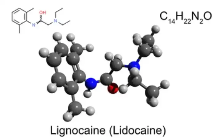 What is the chemical structure of Lidocaine Powder and how does it affect its function?