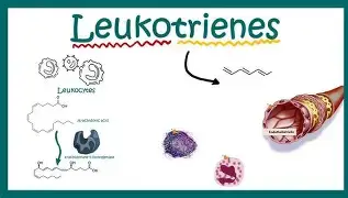 Can Leukotriene F4 influence cardiovascular function?
